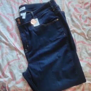 Lane Bryant Dark Blue Women's Jeans Size 26S